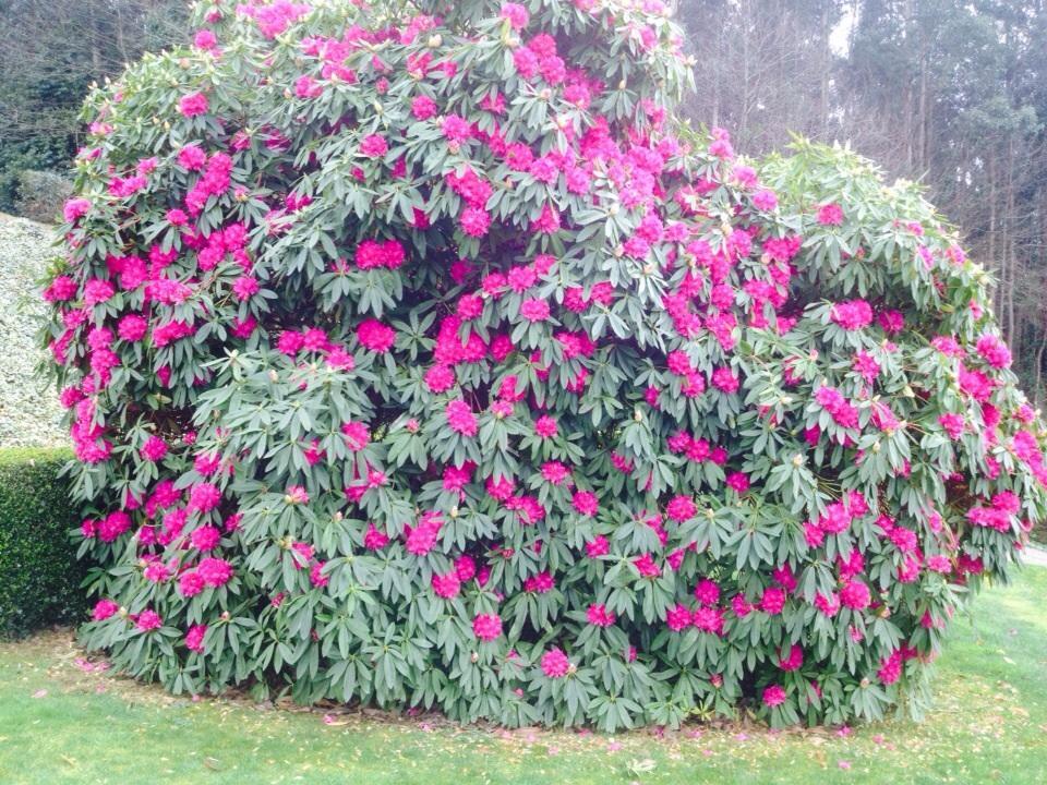Casa Das Veigas Abegondo エクステリア 写真